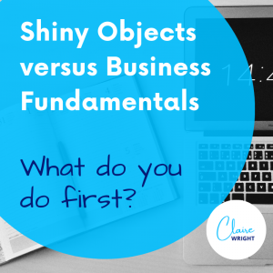 Shiny Object versus Business Fundamentals